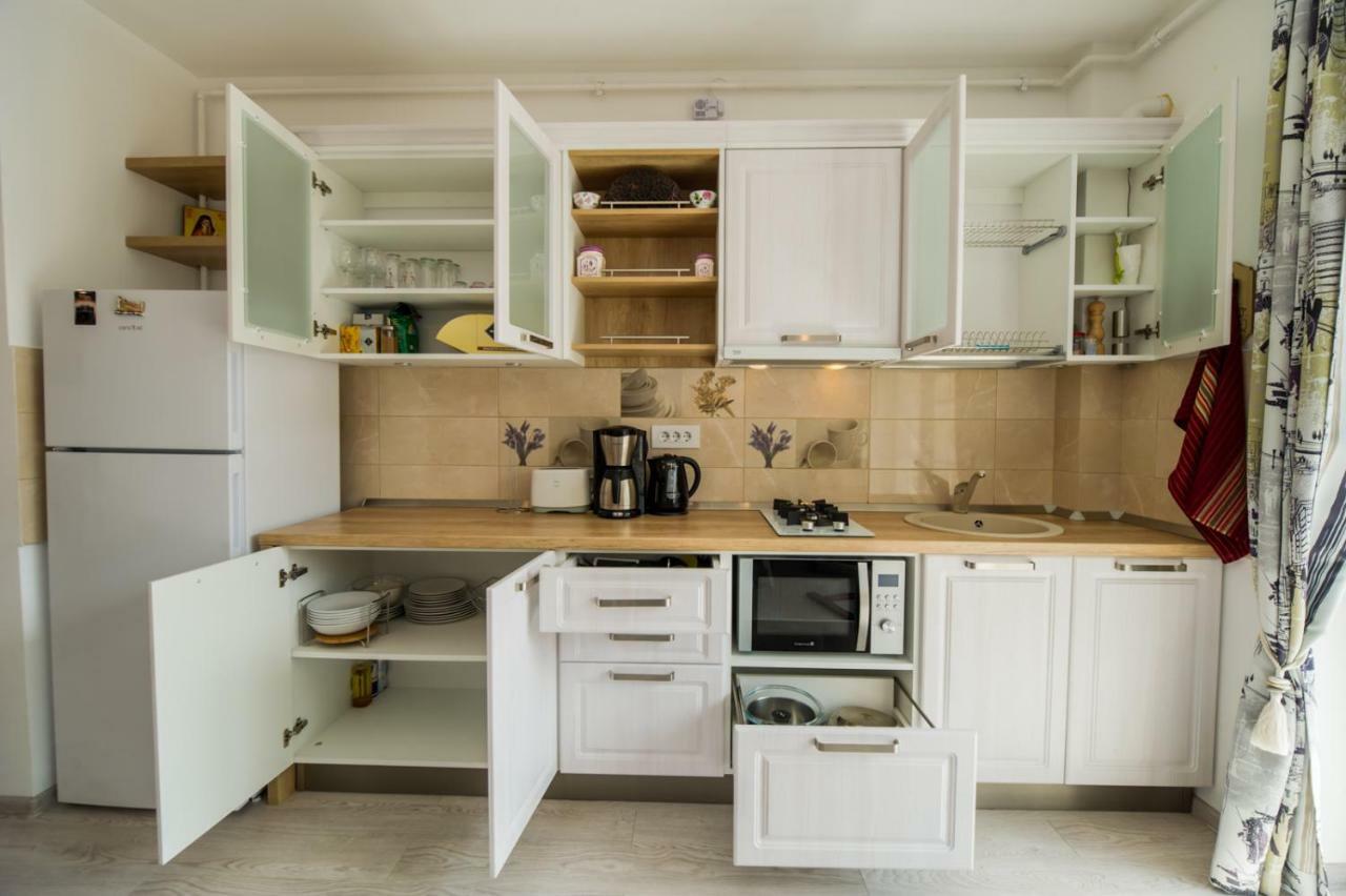 Schiller Apartment 57 - Free Private Parking Брашов Экстерьер фото