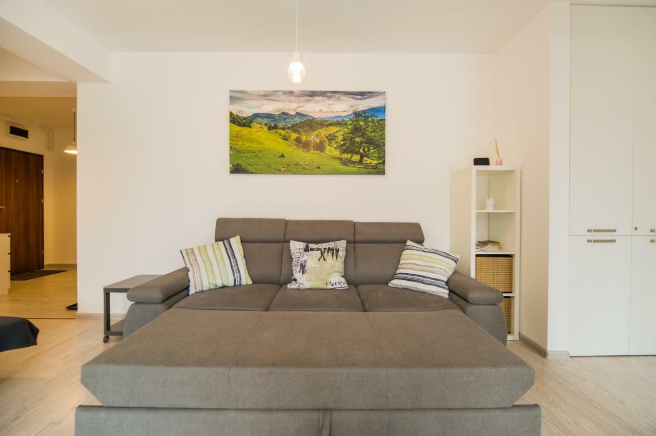 Schiller Apartment 57 - Free Private Parking Брашов Экстерьер фото