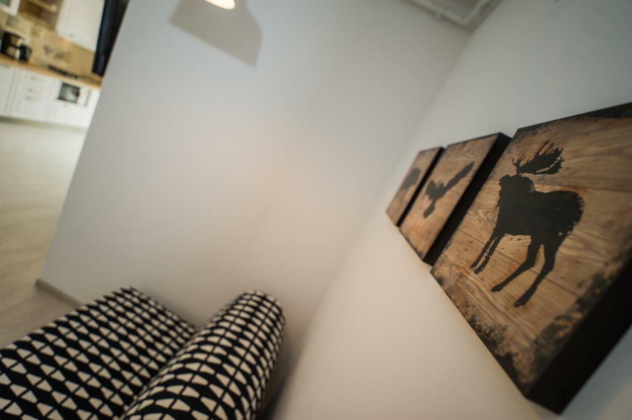 Schiller Apartment 57 - Free Private Parking Брашов Экстерьер фото