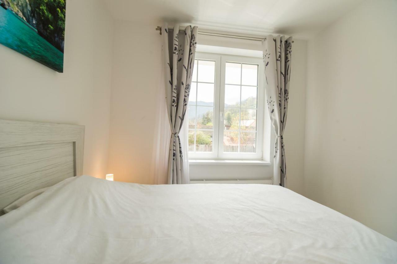 Schiller Apartment 57 - Free Private Parking Брашов Экстерьер фото